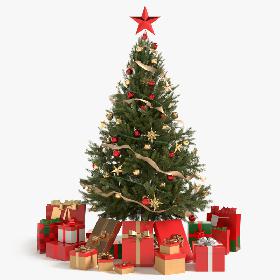 3D model Dragon Wyvern Rigged With 4 Skins